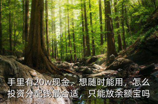 手里有20w現(xiàn)金，想隨時能用，怎么投資分配錢最合適，只能放余額寶嗎