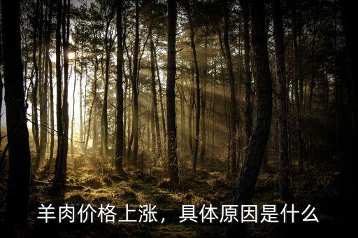 羊肉價(jià)格上漲，具體原因是什么