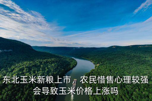東北玉米新糧上市，農(nóng)民惜售心理較強(qiáng)會(huì)導(dǎo)致玉米價(jià)格上漲嗎