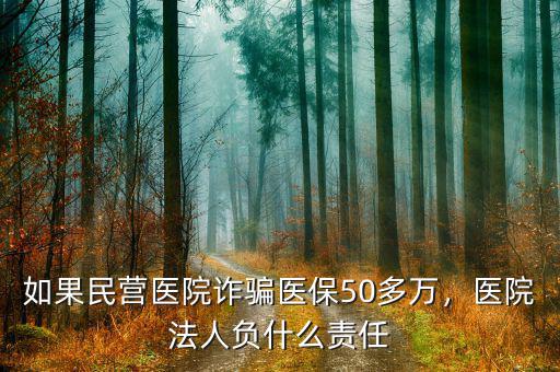 如果民營(yíng)醫(yī)院詐騙醫(yī)保50多萬(wàn)，醫(yī)院法人負(fù)什么責(zé)任