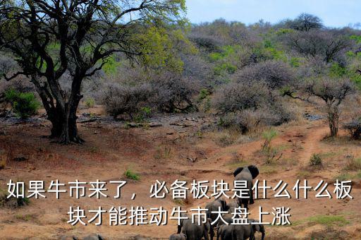 牛市買(mǎi)什么板塊,必備板塊是什么