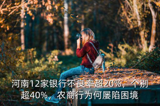 河南12家銀行不良率超20%，個別超40%，農(nóng)商行為何屢陷困境
