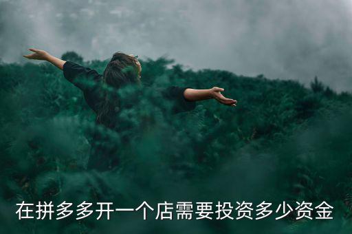 在拼多多開一個店需要投資多少資金