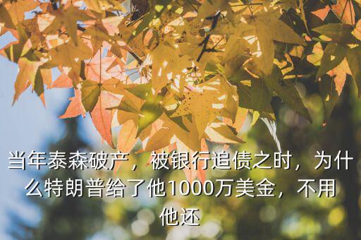 當(dāng)年泰森破產(chǎn)，被銀行追債之時(shí)，為什么特朗普給了他1000萬(wàn)美金，不用他還