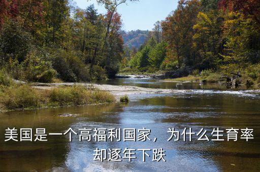 美國是一個高福利國家，為什么生育率卻逐年下跌