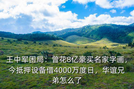 王中軍困局：曾花8億豪買名家字畫，今抵押設(shè)備借4000萬度日，華誼兄弟怎么了