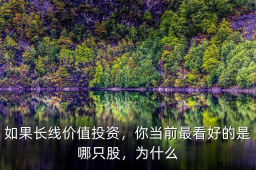 如果長(zhǎng)線價(jià)值投資，你當(dāng)前最看好的是哪只股，為什么