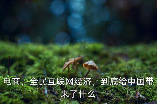 電商，全民互聯(lián)網(wǎng)經(jīng)濟(jì)，到底給中國(guó)帶來(lái)了什么