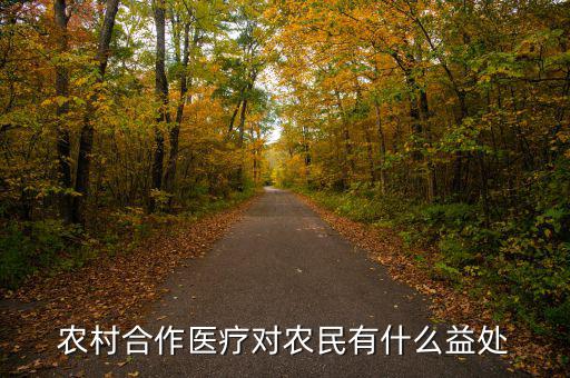 十三五對農(nóng)民有什么好處,有什么投資機(jī)會