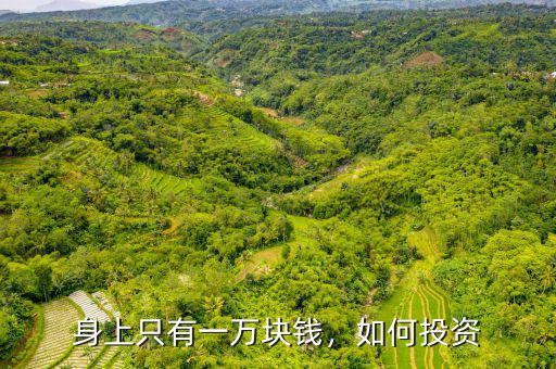 身上只有一萬(wàn)塊錢(qián)，如何投資