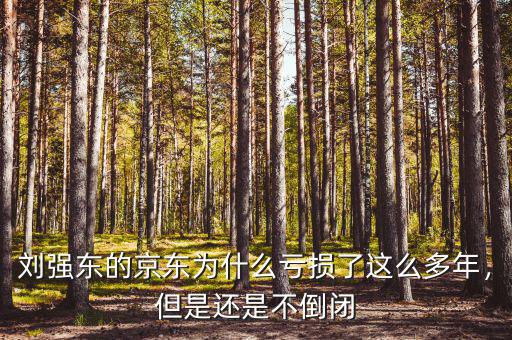 劉強(qiáng)東的京東為什么虧損了這么多年，但是還是不倒閉