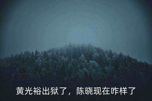 黃光裕出獄了，陳曉現(xiàn)在咋樣了
