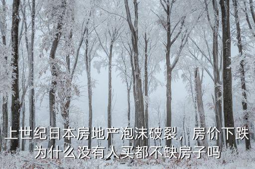上世紀(jì)日本房地產(chǎn)泡沫破裂，房?jī)r(jià)下跌為什么沒(méi)有人買(mǎi)都不缺房子嗎
