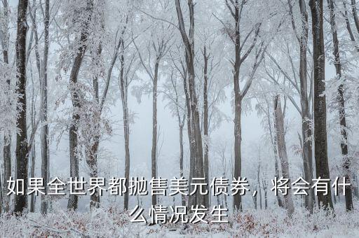 如果全世界都拋售美元債券，將會有什么情況發(fā)生
