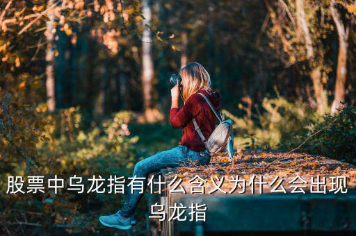 股票中說(shuō)到烏龍指是什么意思,股票里的外盤內(nèi)盤是什么意思