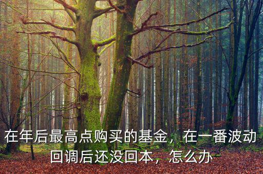 在年后最高點(diǎn)購(gòu)買的基金，在一番波動(dòng)回調(diào)后還沒(méi)回本，怎么辦