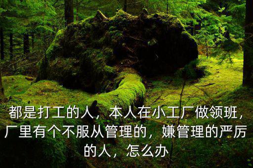 都是打工的人，本人在小工廠做領(lǐng)班，廠里有個(gè)不服從管理的，嫌管理的嚴(yán)厲的人，怎么辦