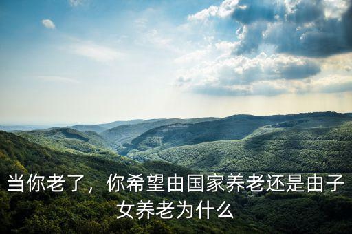 當(dāng)你老了，你希望由國(guó)家養(yǎng)老還是由子女養(yǎng)老為什么