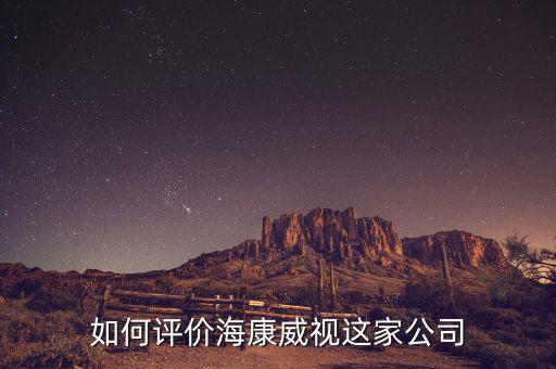 如何評(píng)價(jià)?？低曔@家公司