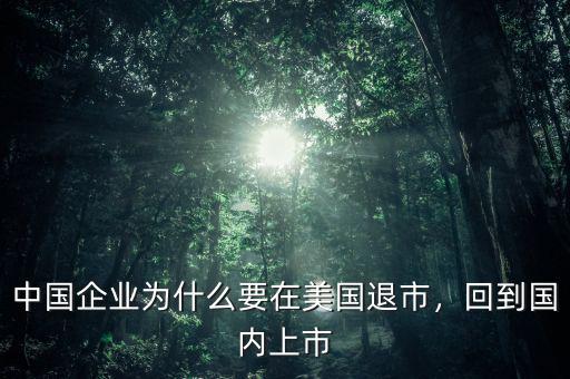 中國企業(yè)為什么要在美國退市，回到國內(nèi)上市