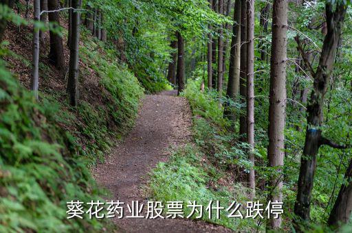 上?？ㄋ帢I(yè)處方賺多少錢,在上海投資開藥店要多少錢