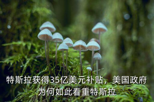 特斯拉獲得35億美元補(bǔ)貼，美國政府為何如此看重特斯拉