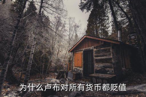 盧布為什么會(huì)貶值,為什么盧布對所有貨幣都貶值