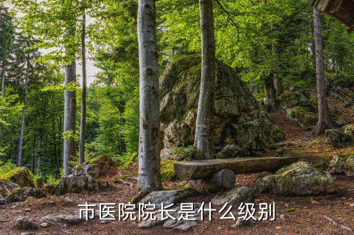 市醫(yī)院院長(zhǎng)是什么級(jí)別