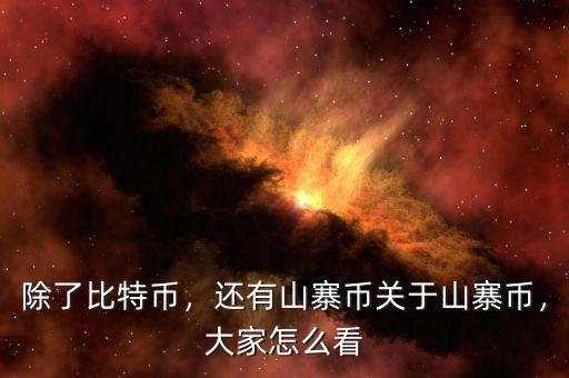 除了比特幣，還有山寨幣關(guān)于山寨幣，大家怎么看