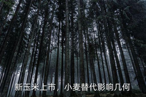 新玉米上市，小麥替代影響幾何