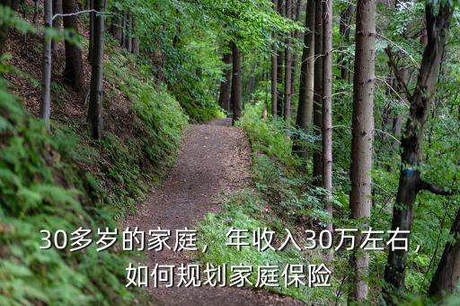 30多歲的家庭，年收入30萬左右，如何規(guī)劃家庭保險