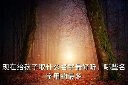馮佳什么名字好聽(tīng),現(xiàn)在給孩子取什么名字最好聽(tīng)