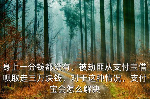 身上一分錢都沒有，被劫匪從支付寶借唄取走三萬塊錢，對于這種情況，支付寶會怎么解決