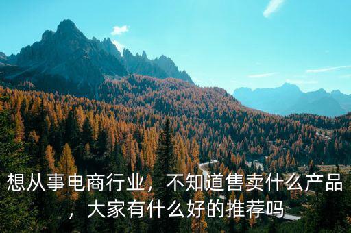想從事電商行業(yè)，不知道售賣什么產(chǎn)品，大家有什么好的推薦嗎