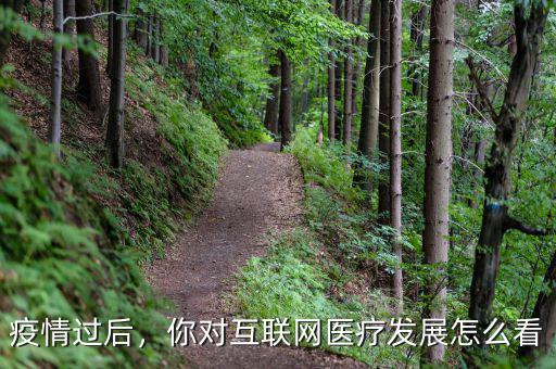 疫情過后，你對互聯(lián)網(wǎng)醫(yī)療發(fā)展怎么看