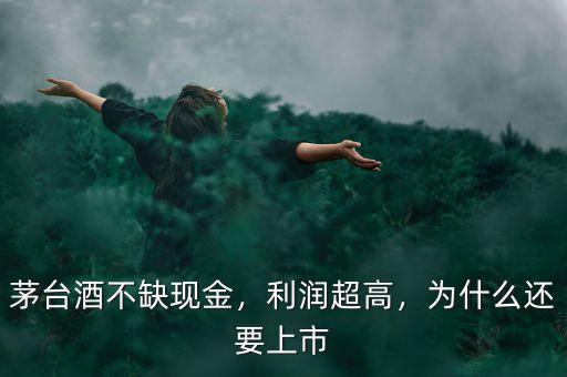 茅臺酒不缺現(xiàn)金，利潤超高，為什么還要上市