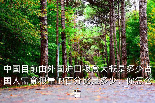 中國(guó)目前由外國(guó)進(jìn)口糧食大概是多少占國(guó)人需食糧量的百分比是多少，你怎么看