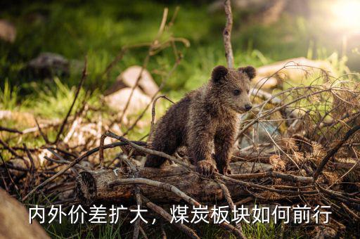 內(nèi)外價差擴(kuò)大，煤炭板塊如何前行