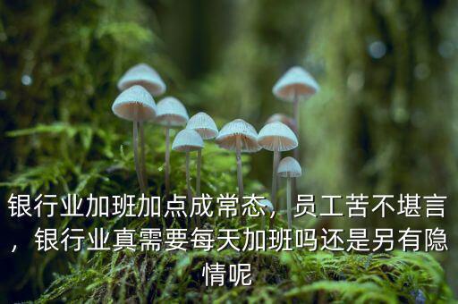 銀行業(yè)加班加點(diǎn)成常態(tài)，員工苦不堪言，銀行業(yè)真需要每天加班嗎還是另有隱情呢