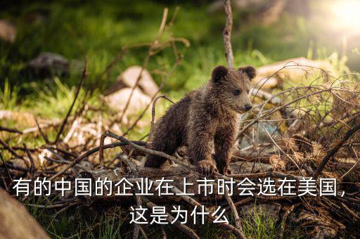 有的中國的企業(yè)在上市時(shí)會(huì)選在美國，這是為什么