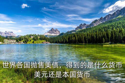 世界各國拋售美債，得到的是什么貨幣美元還是本國貨幣