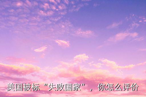 美國被標“失敗國家”，你怎么評價