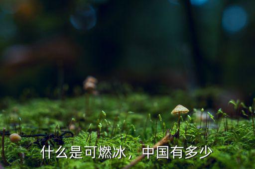 什么是可燃冰，中國有多少