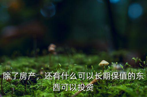 除了房產(chǎn)，還有什么可以長(zhǎng)期保值的東西可以投資