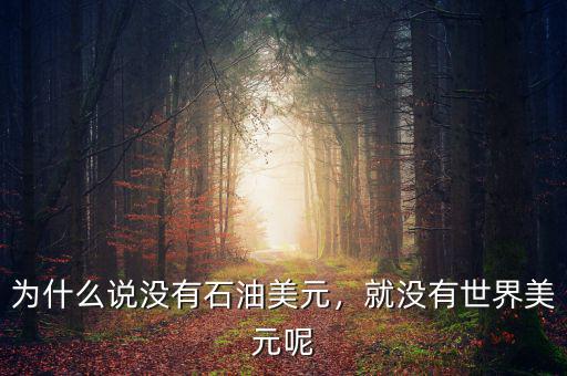 為什么說沒有石油美元，就沒有世界美元呢
