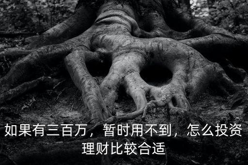 如果有三百萬，暫時用不到，怎么投資理財比較合適