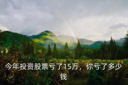 今年投資股票虧了15萬，你虧了多少錢