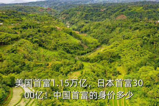 美國首富1.15萬億，日本首富3000億！中國首富的身價(jià)多少