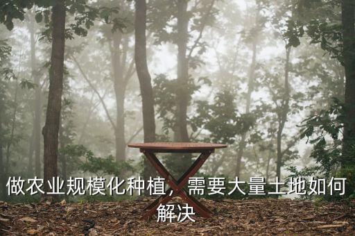 什么是土地規(guī)模化經(jīng)營,規(guī)?；?jīng)營有哪些好處