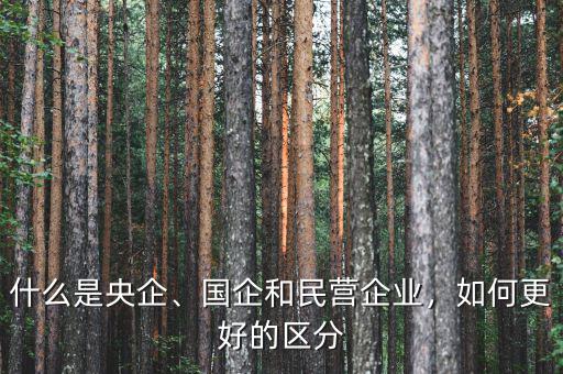 什么是央企、國(guó)企和民營(yíng)企業(yè)，如何更好的區(qū)分
